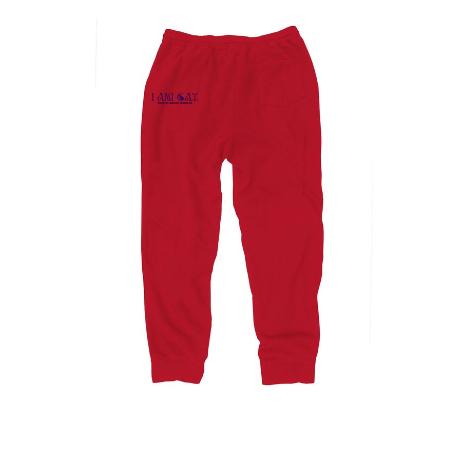 Steezy Confidence Joggers