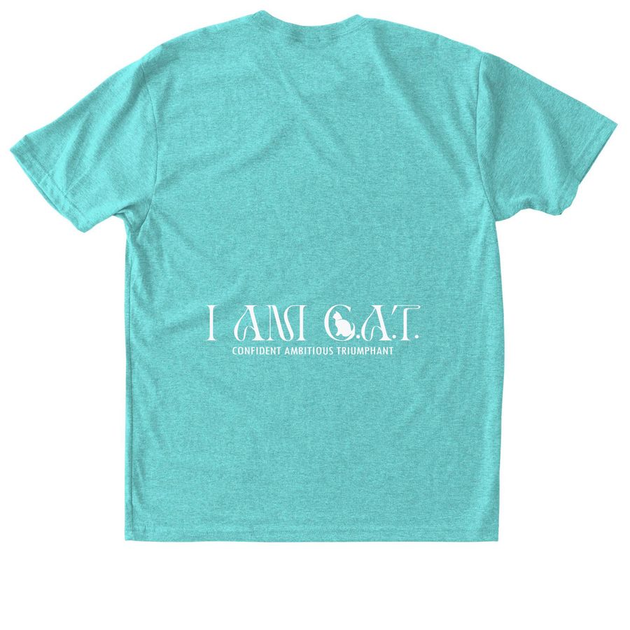 Her Voice, Her Power (triblend unisex tee)